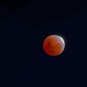 The Moon eclipsed on November 19, 2021. // Source: Flickr/CC/Dirk Pons (cropped photo)