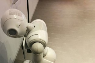 Mignon mais inutile, le robot Pepper va être débranché par SoftBank