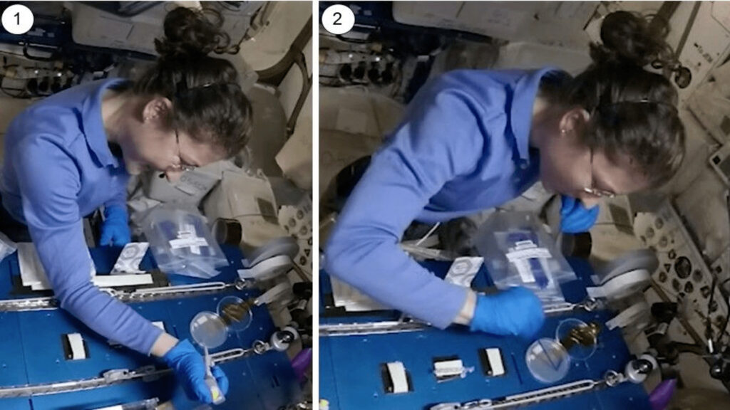 Christina Koch pratiquant l'expérience dans l'ISS