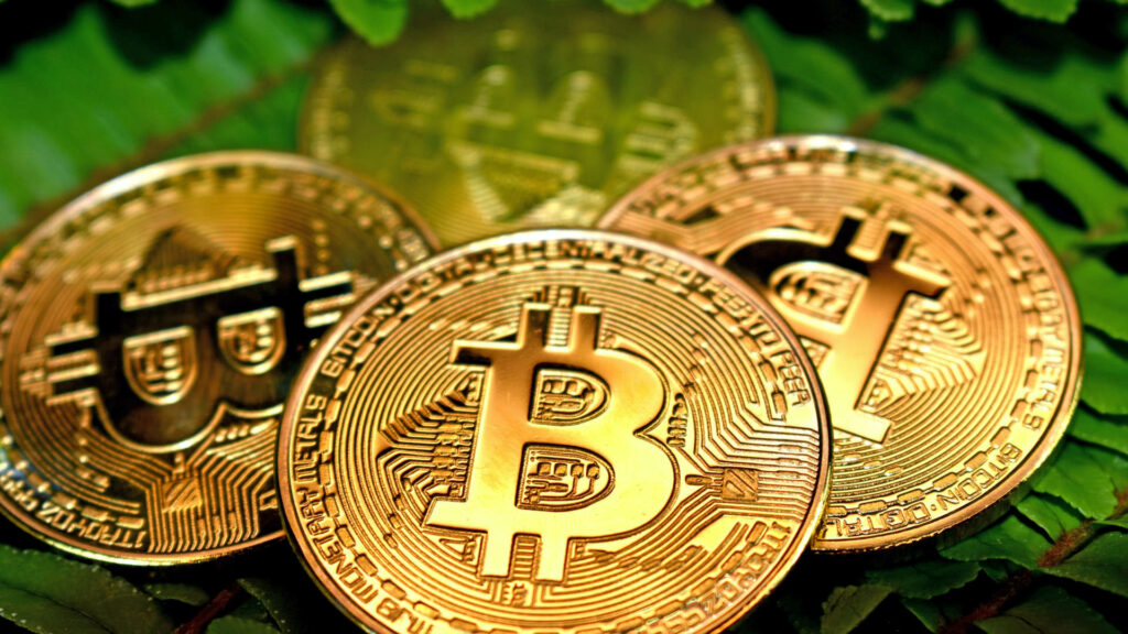bitcoin-fond-vert