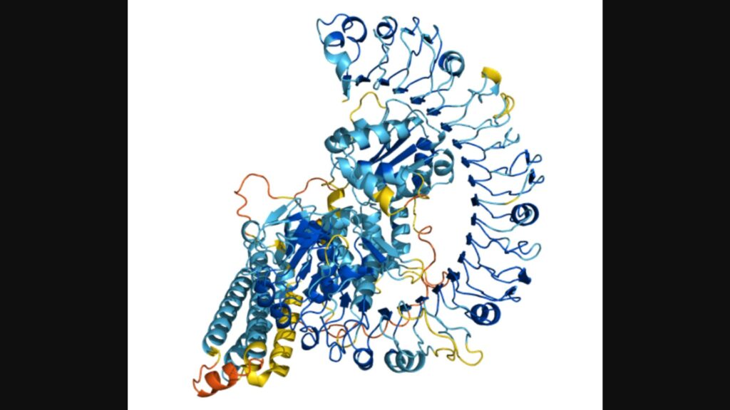 Voici Q8W3K0. Il s'agit d'une protéine qui permet à certaines plantes de résister aux maladies. // Source : DeepMind