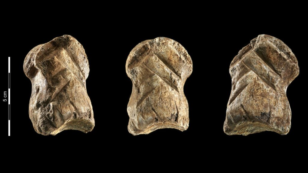 L'objet sculpté (un os de cerf géant) par Néandertal. // Source : V. Minkus, © NLD