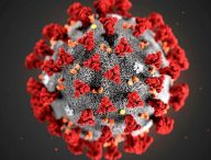 Le coronavirus SARS-CoV-2. // Source : Pixabay