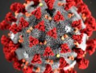 Le coronavirus SARS-CoV-2. // Source : Pixabay