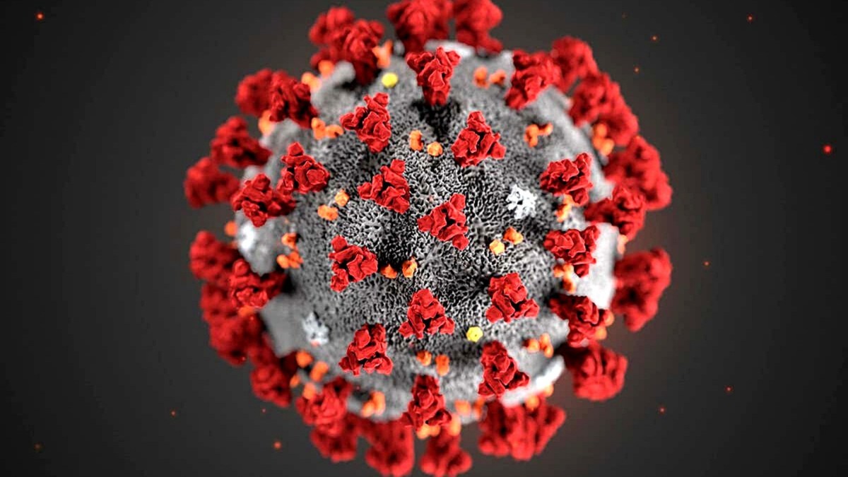 Le coronavirus SARS-CoV-2. // Source : Pixabay