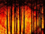 Le changement climatique augmente le risque de feux de forêts. // Source : Gerd Altmann / Pixabay