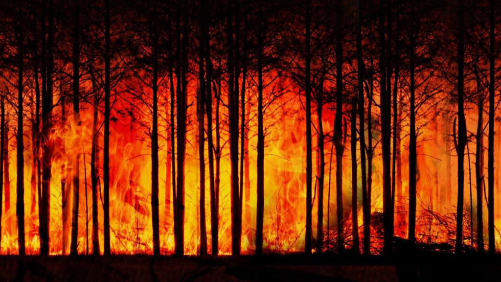 Le changement climatique augmente le risque de feux de forêts. // Source : Gerd Altmann / Pixabay