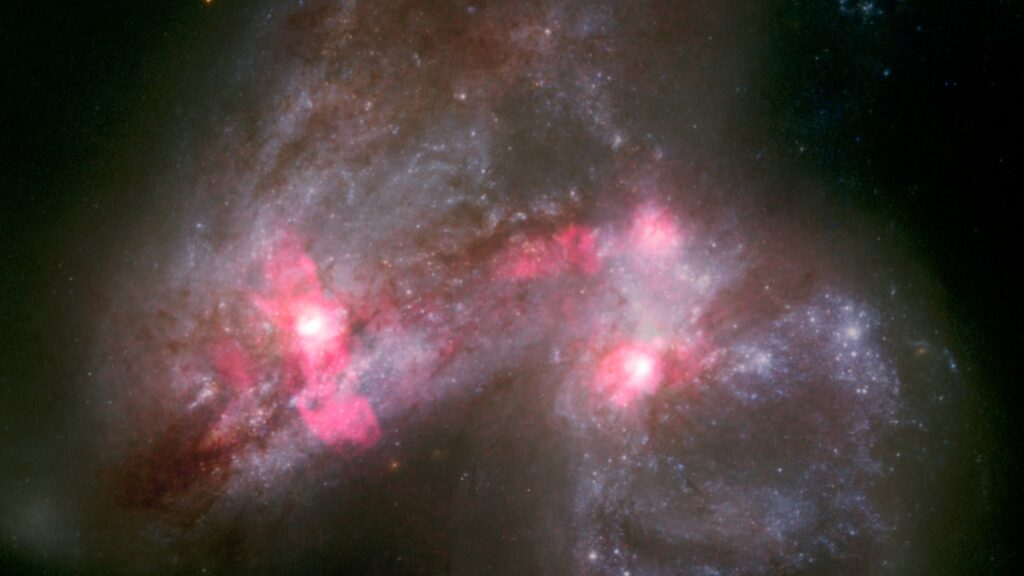 Image de la fusion entre deux galaxies, prises par radio avec le réseau LOFAR. // Source : LOFAR/Ramirez-Olivencia