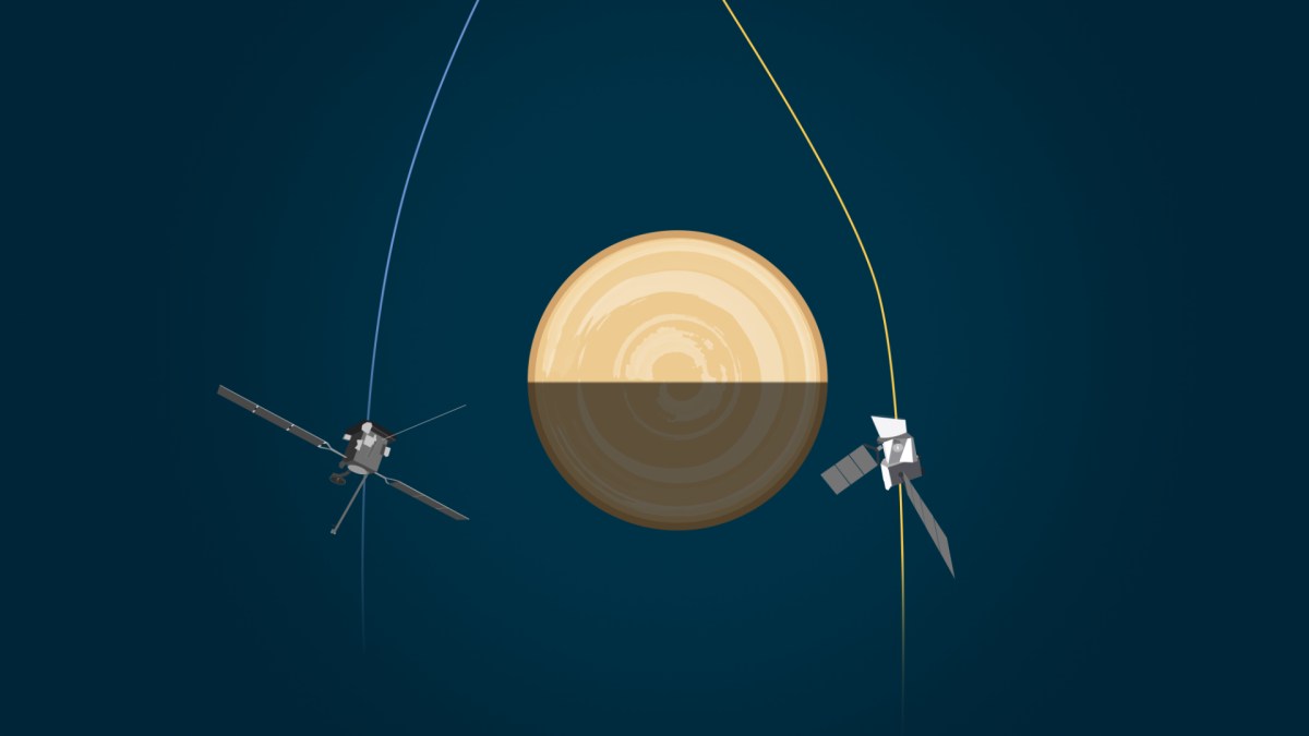 Représentation du survol de Vénus par BepiColombo et Solar Orbiter. // Source : ESA