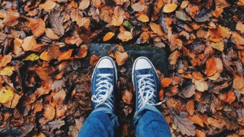 C'est l'automne ! // Source : Pexels/Pixabay (photo recadrée)