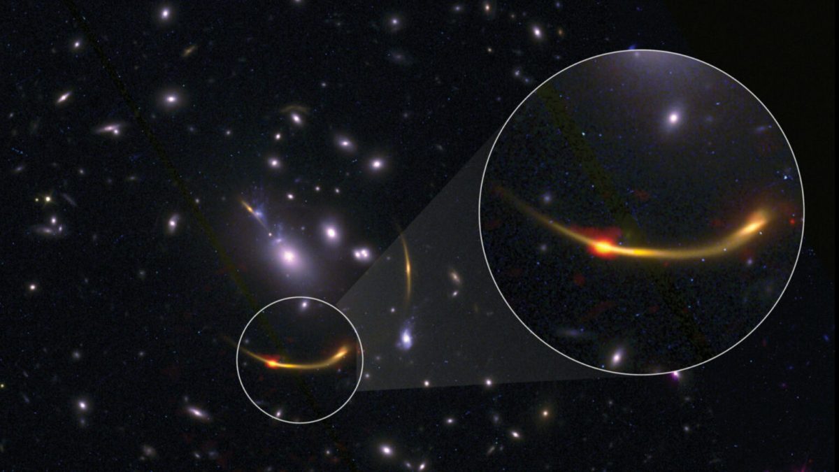 Un amas de galaxies étudié par ALMA. // Source : ALMA (ESO/NAOJ/NRAO)/S. Dagnello (NRAO), STScI, K. Whitaker et al