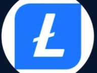 Logo Litecoin // Source : Capture Numerama