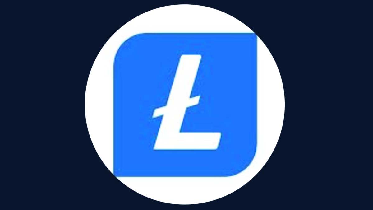 Logo Litecoin // Source : Capture Numerama