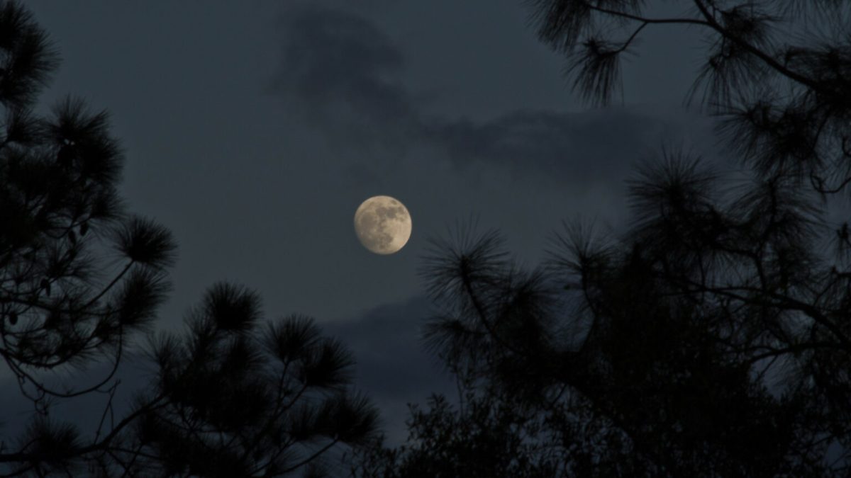 La Lune. // Source : Flickr/CC/Bob Hargrave (photo recadrée)