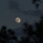La Lune. // Source : Flickr/CC/Bob Hargrave (photo recadrée)