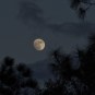 La Lune. // Source : Flickr/CC/Bob Hargrave (photo recadrée)