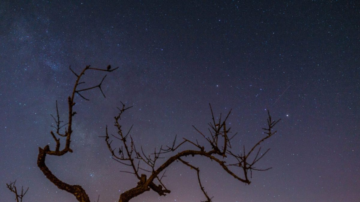 Ciel étoilé. // Source : Flickr/CC/David Brookes (photo recadrée)