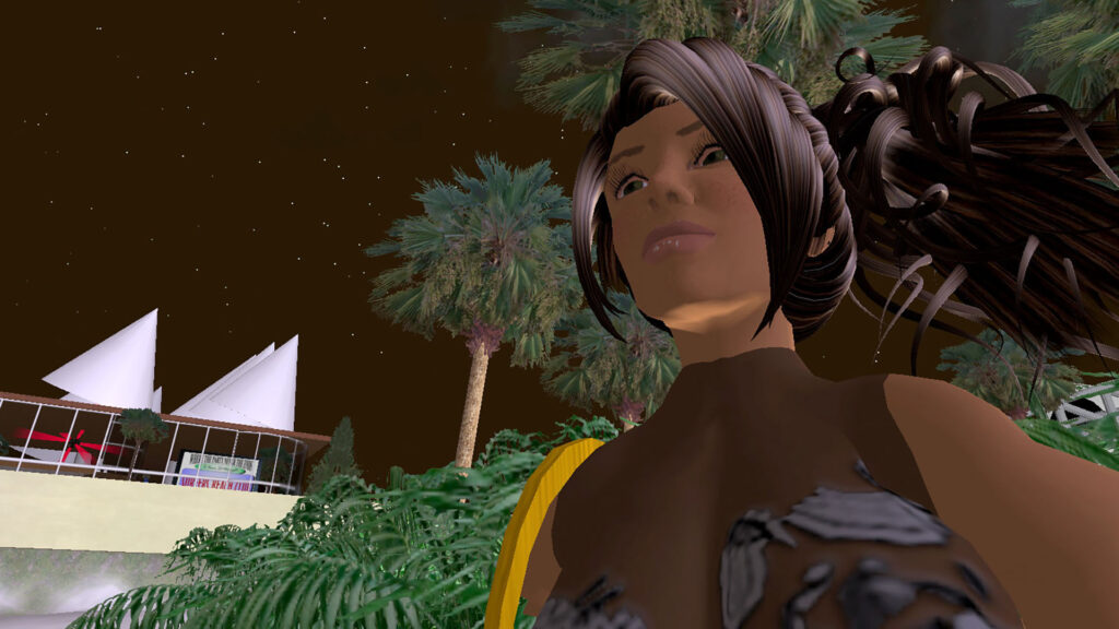 Second Life Second Life