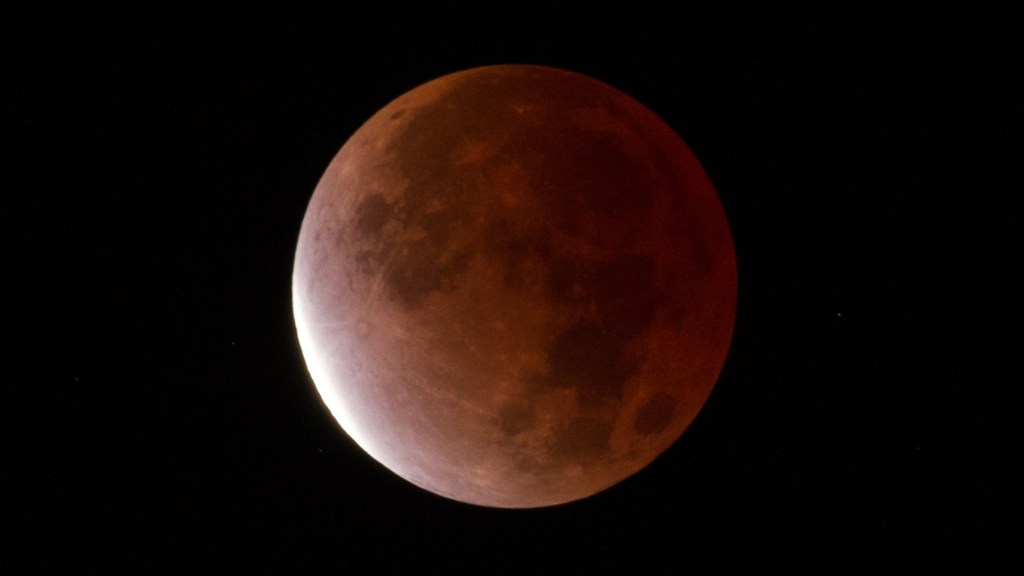 La Lune éclipsée le 19 novembre 2021. // Source : Flickr/CC/jurban (photo recadrée)