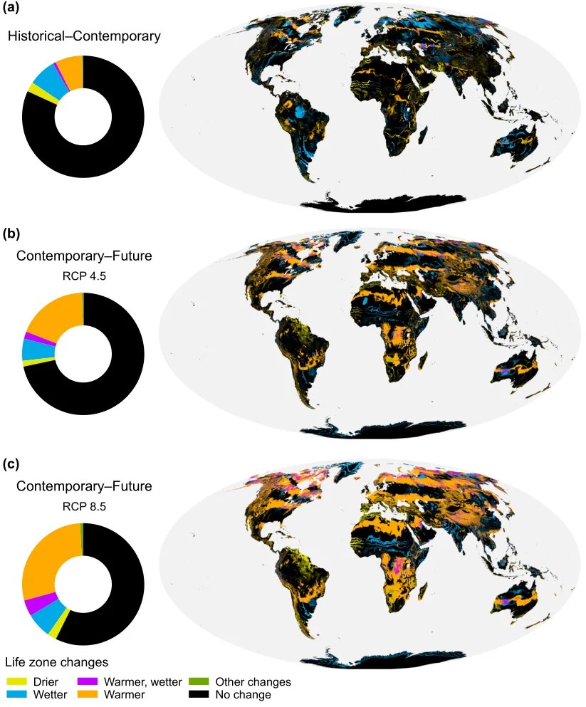 Les couleurs et leur étendue correspondent aux changements subis par les « zones de vie ». // Source : Global Change Biology, 2021