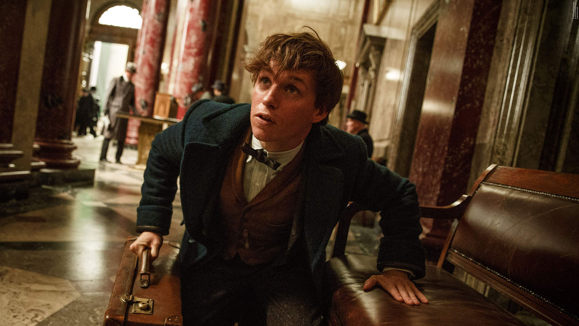 Les Animaux Fantastiques - Streaming, casting, bandes-annonces et