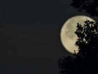 La Lune. // Source : Unsplash/Kristen Wyman (photo recadrée)