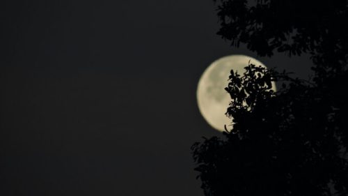 La Lune. // Source : Unsplash/Kristen Wyman (photo recadrée)