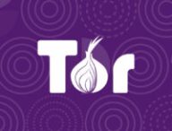 Le service Tor est un moyen de renforcer votre anonymat sur Internet // Source : TorProject