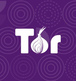 Le service Tor est un moyen de renforcer votre anonymat sur Internet // Source : TorProject