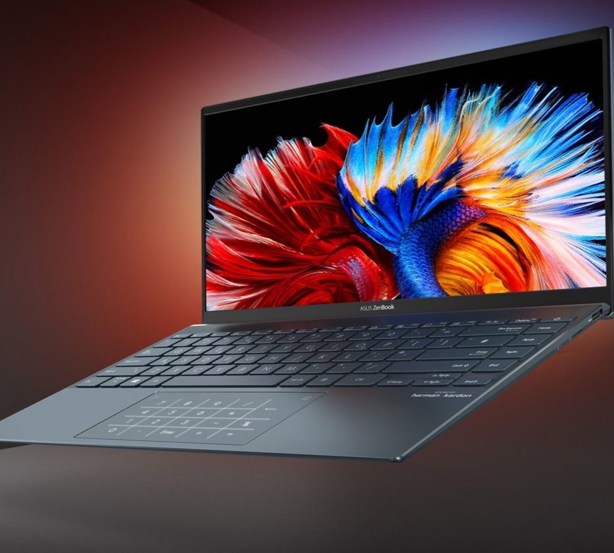 Asus Zenbook 13 // Source : Asus