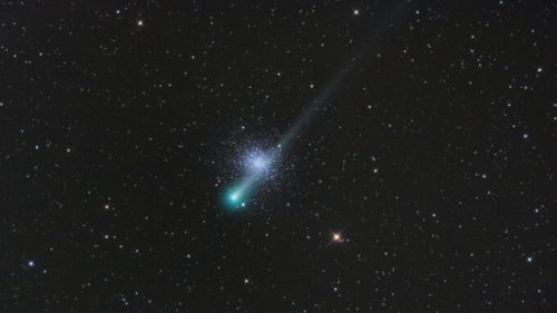 Passage de la comète C/2021 A1 (Leonard) devant l'amas globulaire M3. // Source : Flickr/CC/Dominique Dierick (photo recadrée)