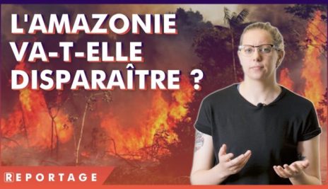 L’Amazonie brûle : des conséquences IRREVERSIBLES ?