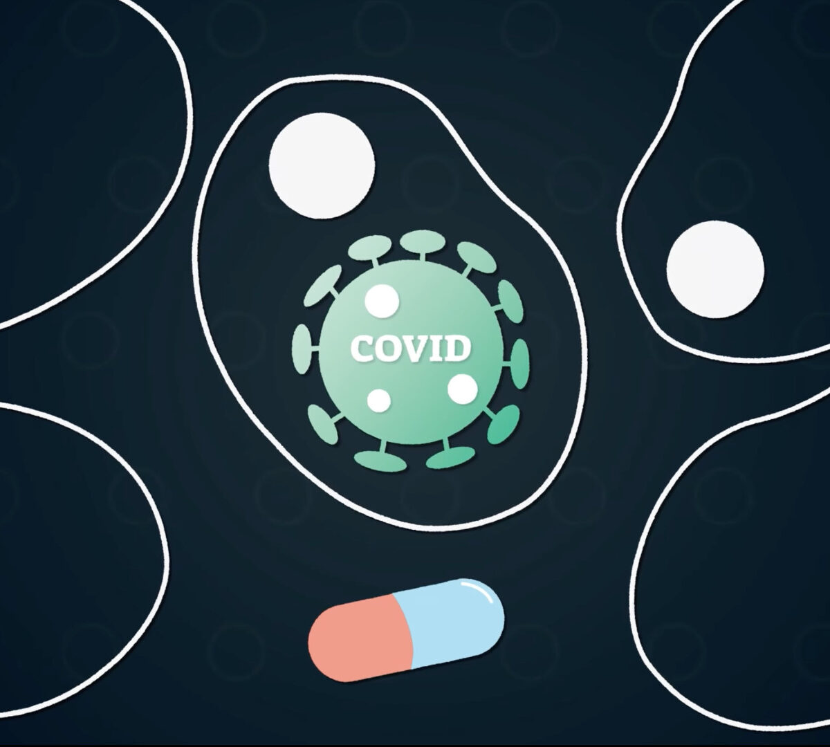 Le monulpiravir cherche à limiter l'infection par le Covid-19, mais son efficacité est questionnée // Source : Nino Barbey pour Numerama