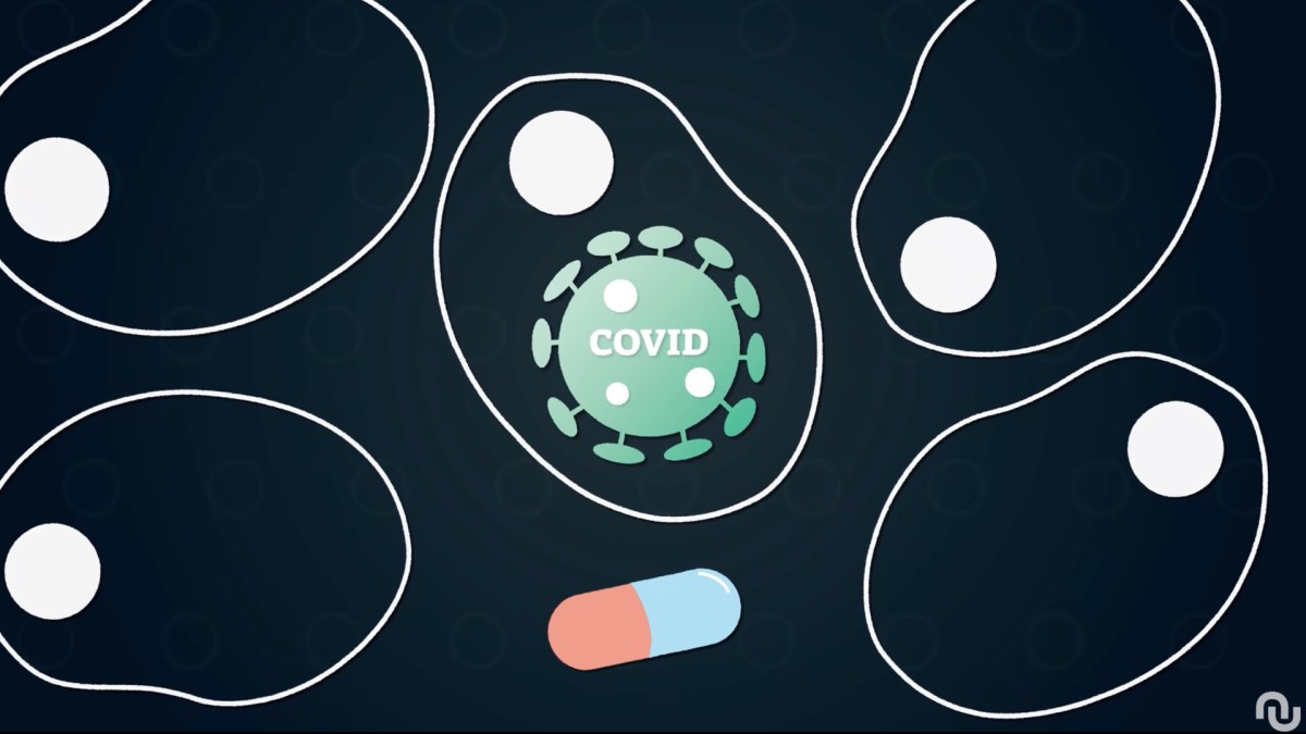 Le monulpiravir cherche à limiter l'infection par le Covid-19, mais son efficacité est questionnée // Source : Nino Barbey pour Numerama