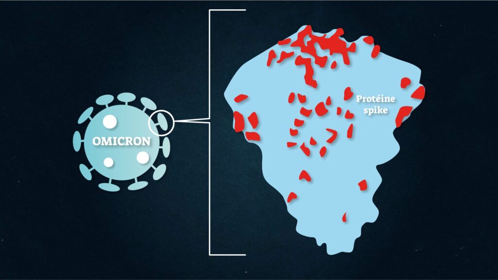 La protéine Spike du coronavirus contient un grand nombre de mutations (illustrées ici par les points rouges). // Source : Nino Barbey pour Numerama