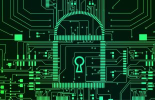 Source : canva Source : canva