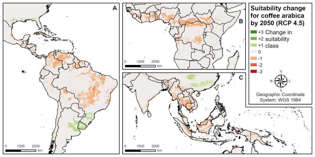 Évolution des terres où il est possible de cultiver du café arabica, d'ici 2050, selon un scénario climatique « business as usual » (sans baisse des émissions). // Source : Plos One, 2022