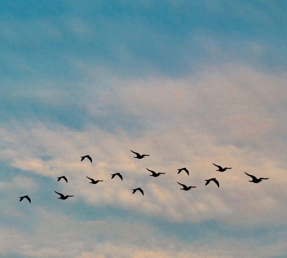 Ciel bleu. // Source : Pexels/Manideep Karne (photo recadrée)