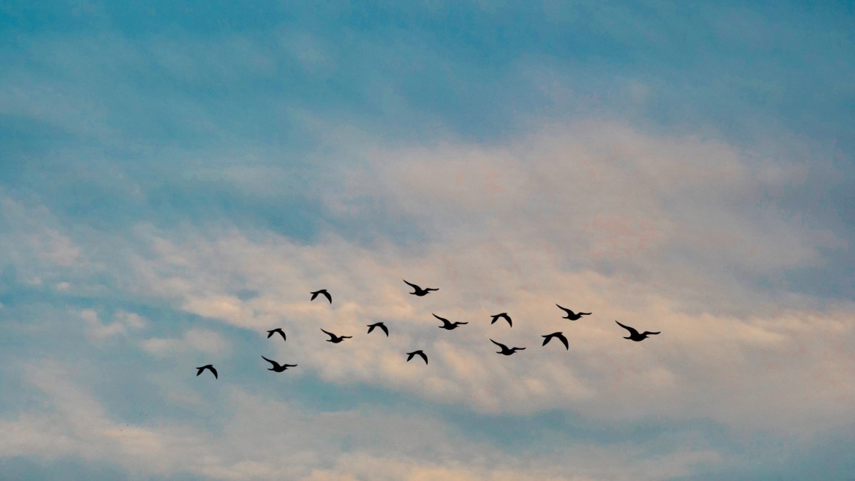 Ciel bleu. // Source : Pexels/Manideep Karne (photo recadrée)