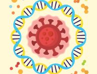 Coronavirus SARS-CoV-2. // Source : Pixabay