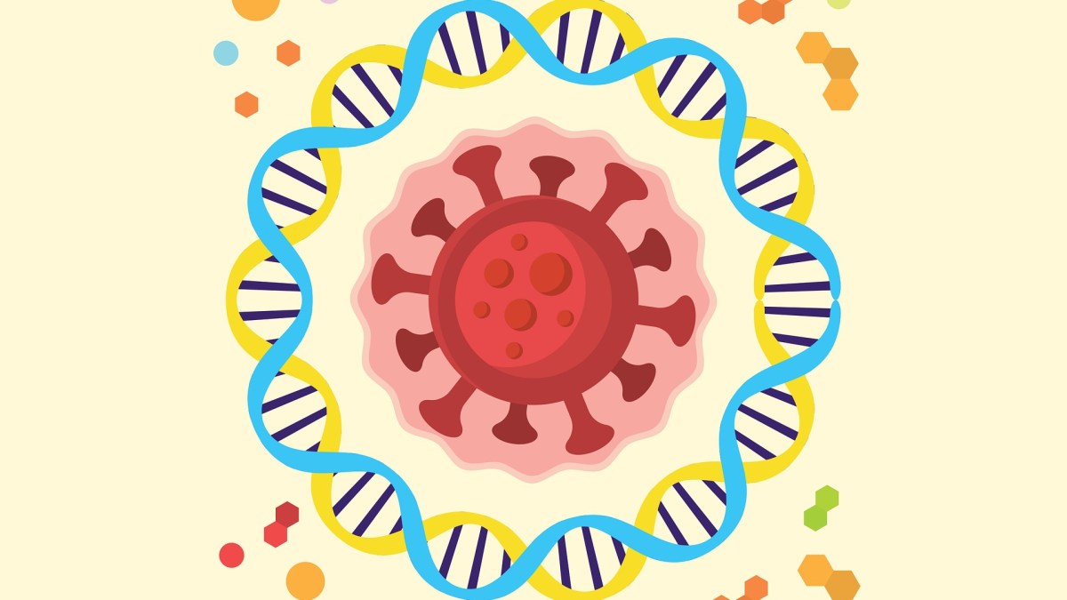 Coronavirus SARS-CoV-2. // Source : Pixabay