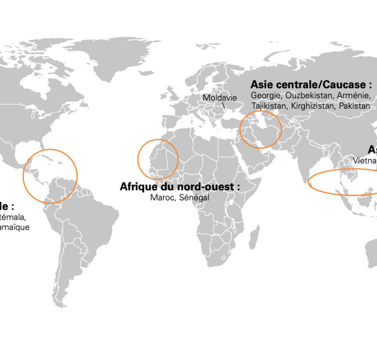 Les pays les plus susceptibles de faire du bitcoin une monnaie légale // Source : Blockchain Partners by KPMG