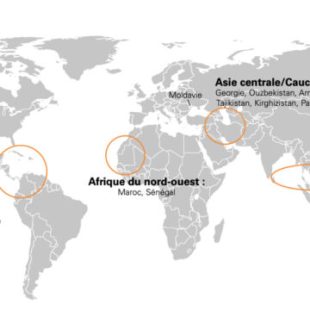 Les pays les plus susceptibles de faire du bitcoin une monnaie légale // Source : Blockchain Partners by KPMG