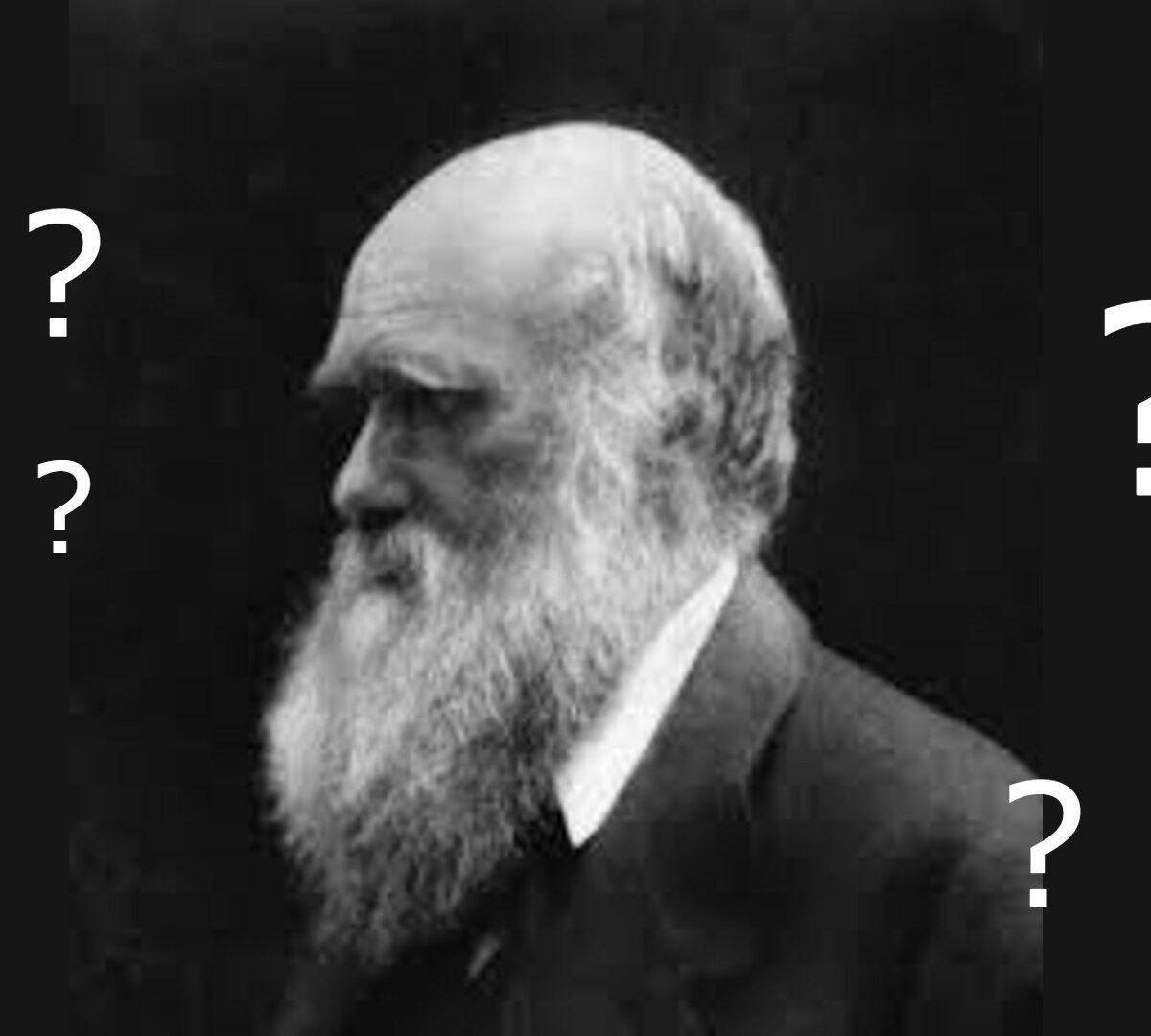 Charles Darwin... interrogatif. // Source : domaine public/modifié