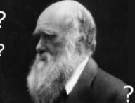 Charles Darwin... interrogatif. // Source : domaine public/modifié