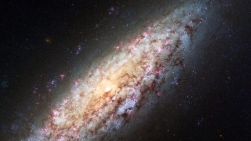 La galaxie NGC 6503. // Source : NASA, ESA, D. Calzetti (University of Massachusetts), H. Ford (Johns Hopkins University), and the Hubble Heritage Team