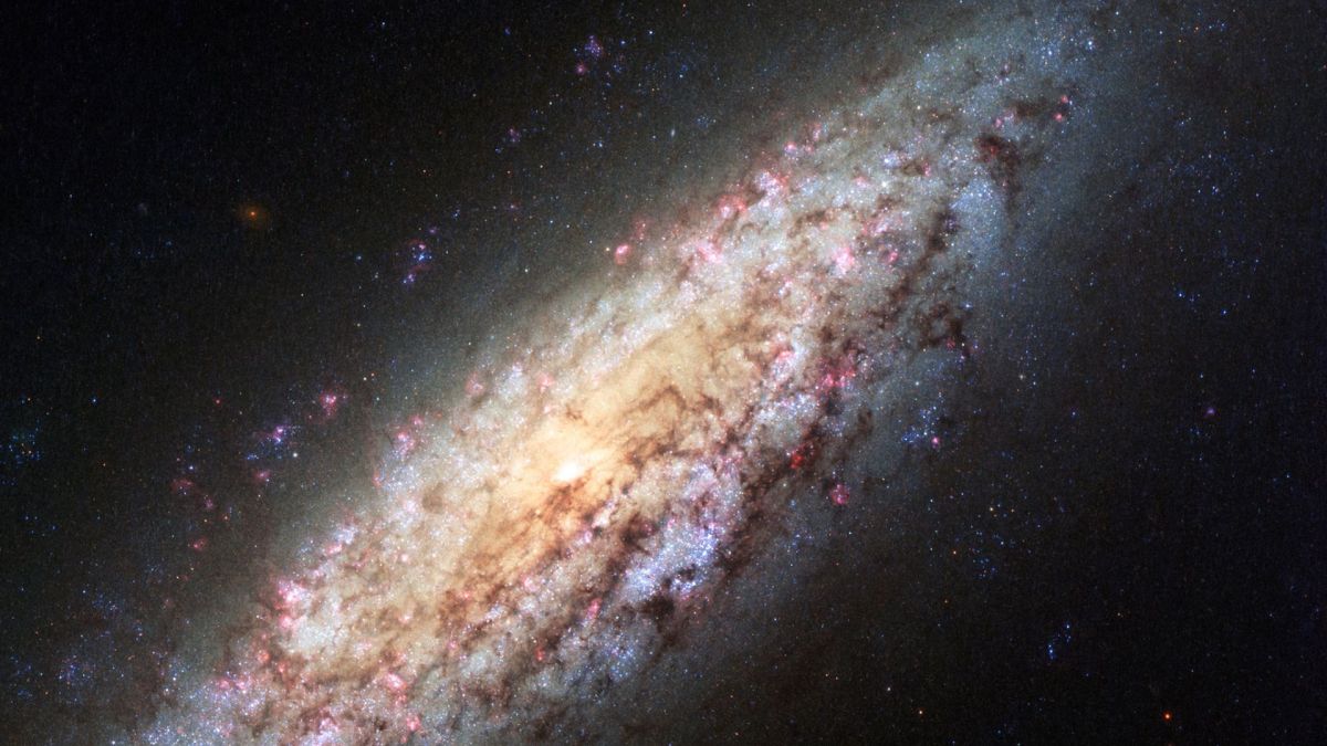 La galaxie NGC 6503. // Source : NASA, ESA, D. Calzetti (University of Massachusetts), H. Ford (Johns Hopkins University), and the Hubble Heritage Team