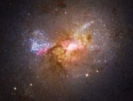 La galaxie Henize 2-10. // Source : NASA, ESA, Zachary Schutte (XGI), Amy Reines (XGI); Image Processing: Alyssa Pagan (STScI)