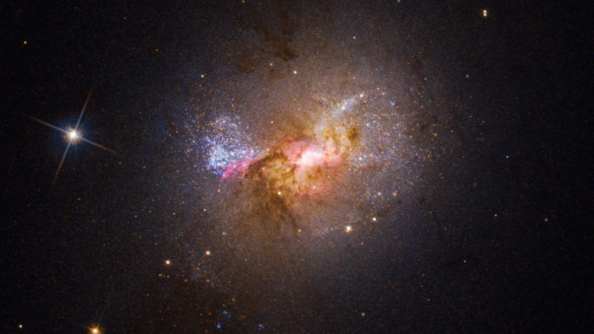 La galaxie Henize 2-10. // Source : NASA, ESA, Zachary Schutte (XGI), Amy Reines (XGI); Image Processing: Alyssa Pagan (STScI)