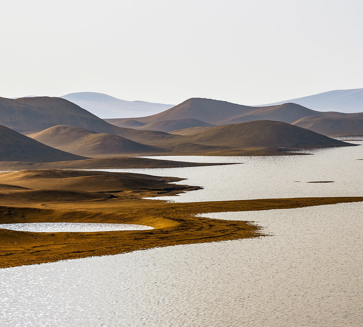 Représentation de Mars (Elysium Planitia) possédant de l'eau. // Source : Flickr/CC/Kevin Gill (image recadrée)